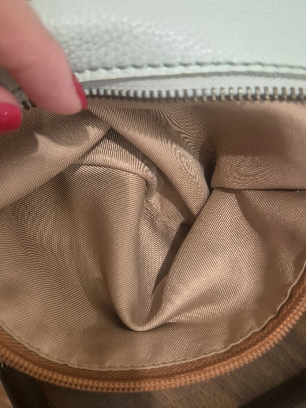 The Sak Sequoia Pebbled Leather Hobo Bag/Purse Soft Mint Green